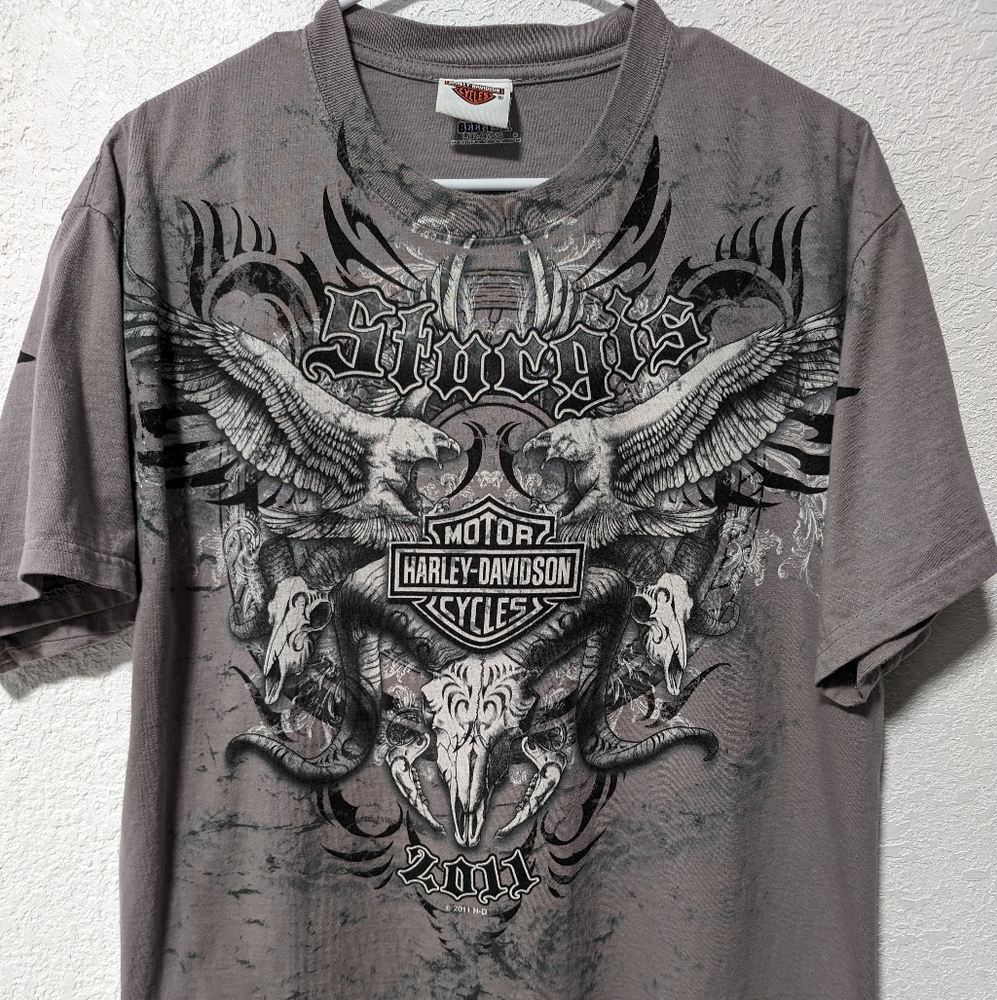 2011 Storgis Harley-Davidson AOP